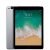 iPad 2017 128Gb Ricondizionato Grigio